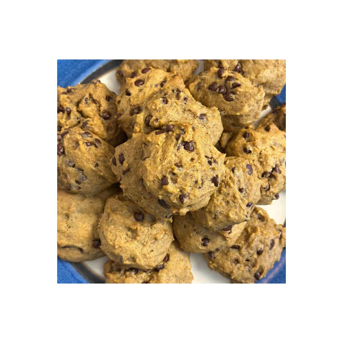 perfect pumpkin chocolate chip cookies dairy-free and soy-free
